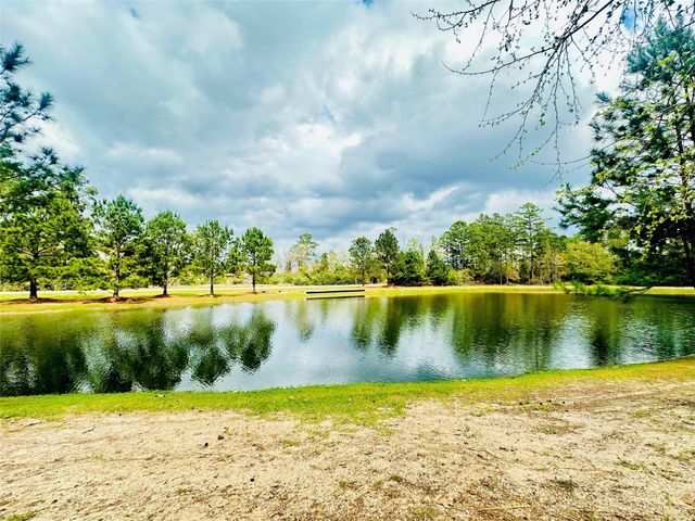 6 Gentle Branch Place, Tomball, TX 77375