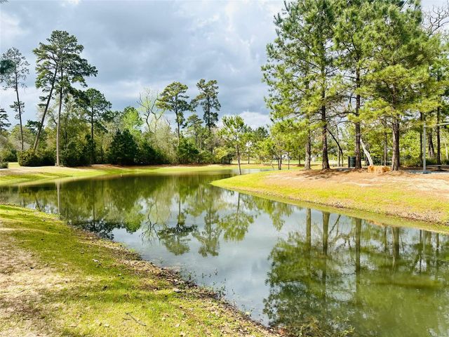 6 Gentle Branch Place, Tomball, TX 77375