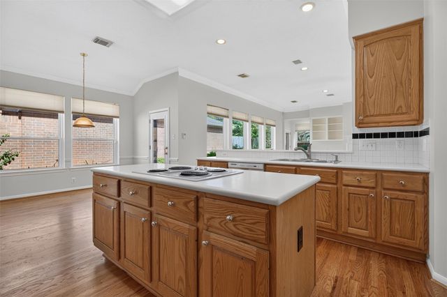 13911 Carriage Walk Lane, Houston, TX 77077