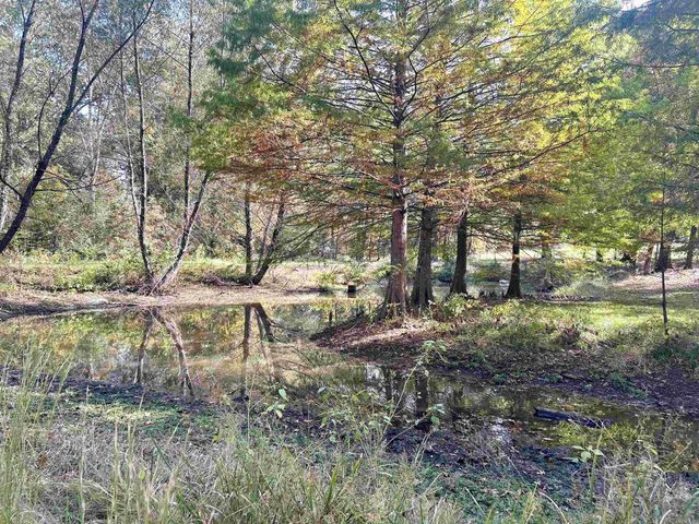 845 Stevenson Road, Gurdon, AR 71743