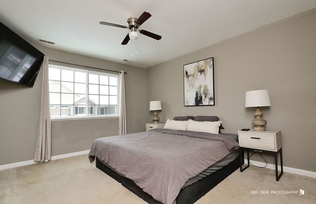 398 S Jade Lane, Round Lake, IL 60073