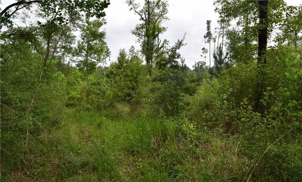 0 Mcgregor Road, Grand Bay, AL 36541 — exterior