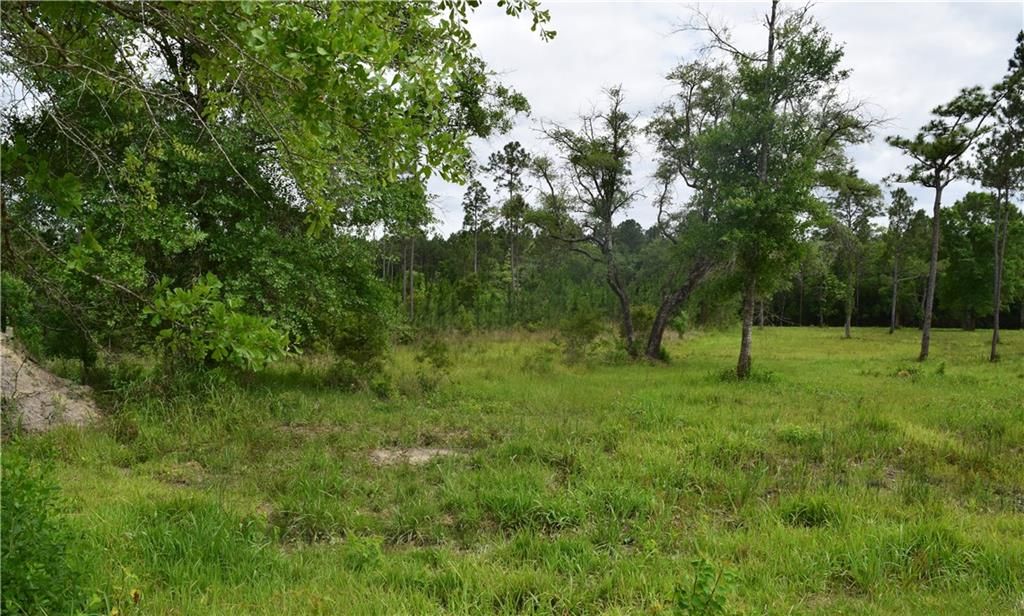 0 Mcgregor Road, Grand Bay, AL 36541 — photo 2