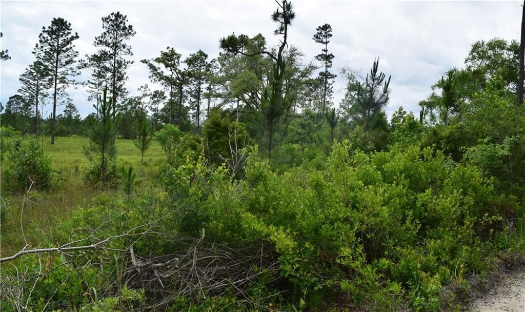 0 Mcgregor Road, Grand Bay, AL 36541 — photo 3