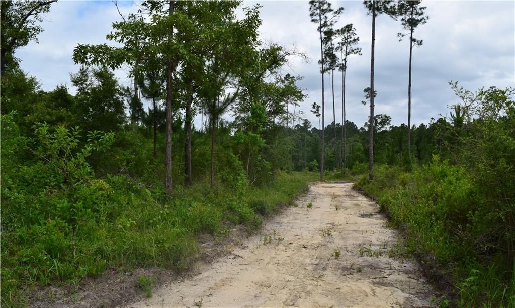 0 Mcgregor Road, Grand Bay, AL 36541 — photo 4