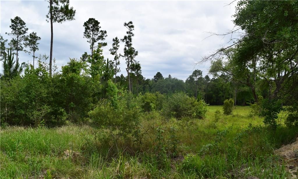 0 Mcgregor Road, Grand Bay, AL 36541 — photo 5