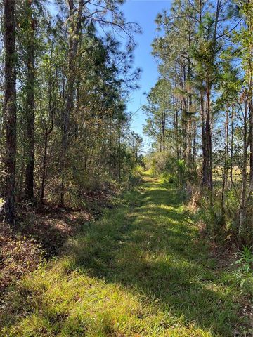 4620 405TH STREET E, Myakka City, FL 34251