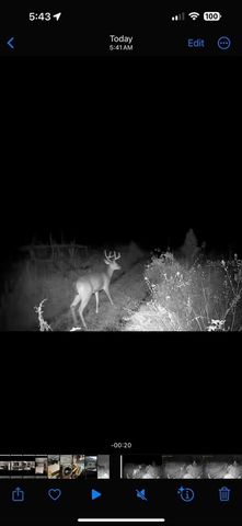 4620 405TH STREET E, Myakka City, FL 34251