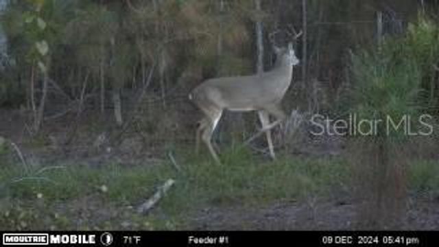 4620 405TH STREET E, Myakka City, FL 34251