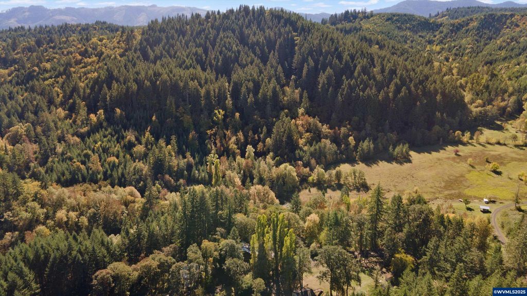 Image 36 of property listing at 23340 Doane Creek Rd, Sheridan, OR 97378