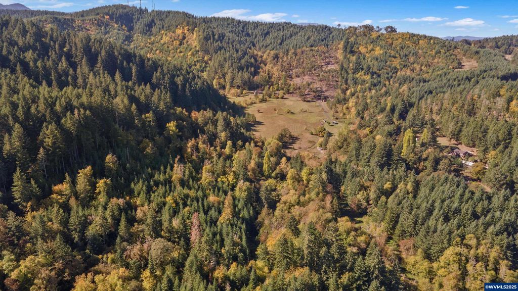 Image 44 of property listing at 23340 Doane Creek Rd, Sheridan, OR 97378