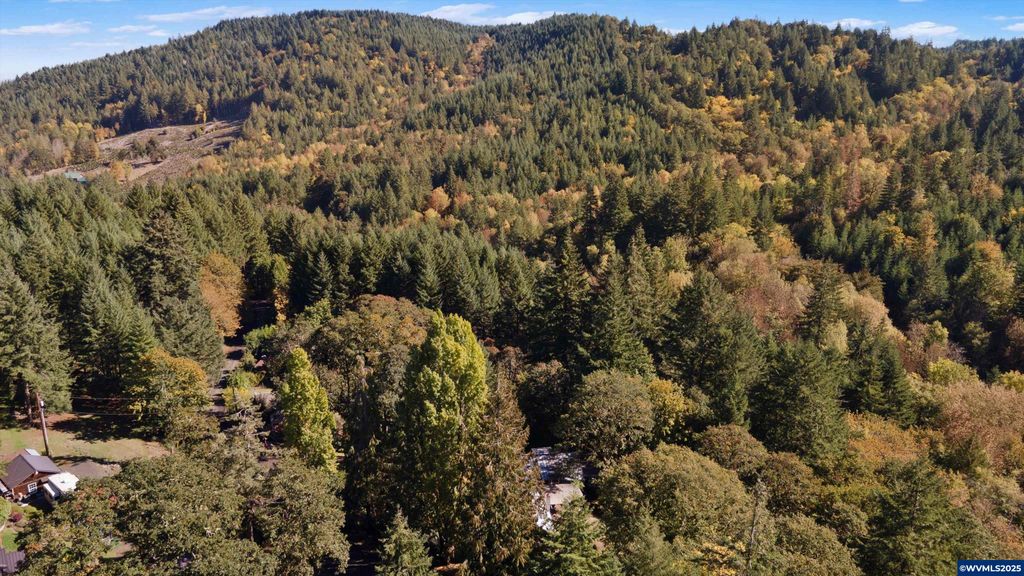 Image 46 of property listing at 23340 Doane Creek Rd, Sheridan, OR 97378