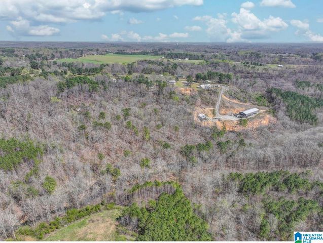 890 COUNTY ROAD 404, Cullman, AL 35057
