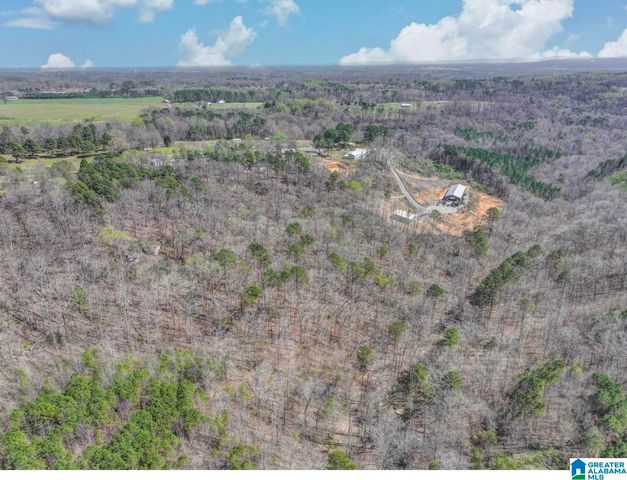 890 COUNTY ROAD 404, Cullman, AL 35057