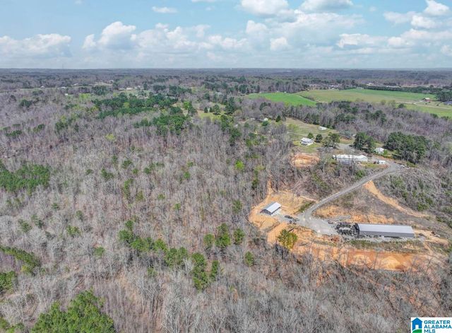 890 COUNTY ROAD 404, Cullman, AL 35057