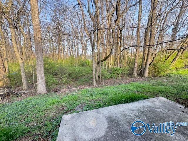 149 Hazel Trace, Hazel Green, AL 35750