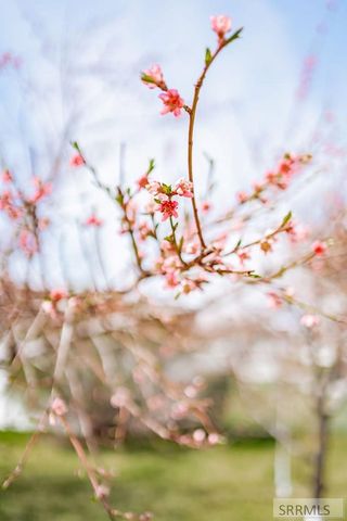 2144 Pend Oreille Circle, Idaho Falls, ID 83404