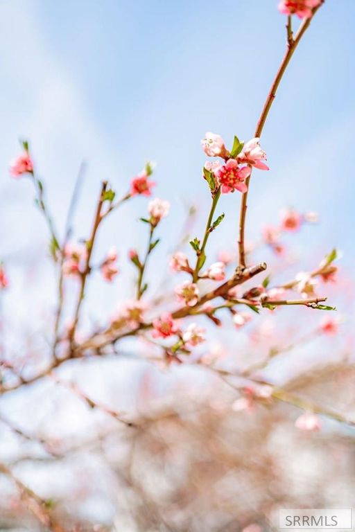 Image 56 of property listing at 2144 Pend Oreille Circle, Idaho Falls, ID 83404