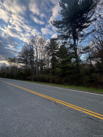 TBD 000 Ulster Heights Road, Fallsburg, NY 12733