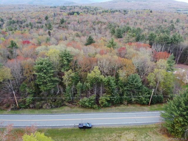TBD 000 Ulster Heights Road, Fallsburg, NY 12733