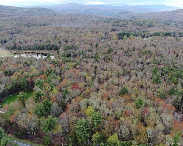 TBD 000 Ulster Heights Road, Fallsburg, NY 12733