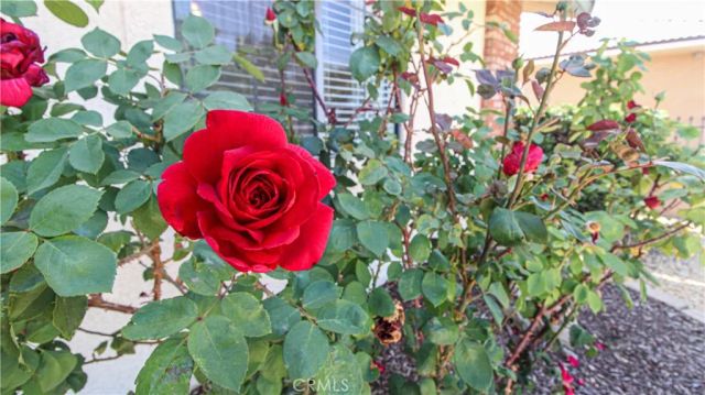 16319 Kasota, Apple Valley, CA 92307