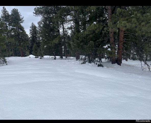 8036 Settlers Drive, Morrison, CO 80456