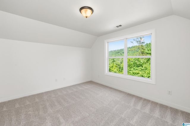 3774 JAMES HILL TERRACE, Hoover, AL 35226