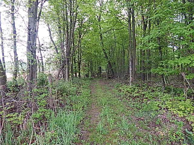 15250 27 Mile Road, Albion, MI 49224