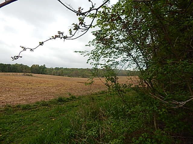 15250 27 Mile Road, Albion, MI 49224