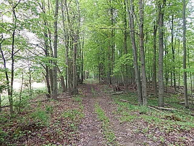 15250 27 Mile Road, Albion, MI 49224