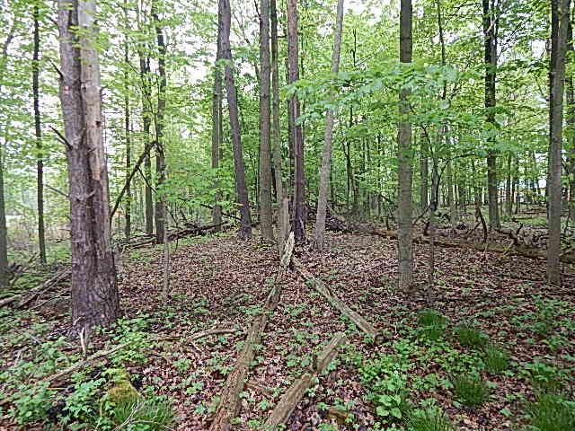 15250 27 Mile Road, Albion, MI 49224