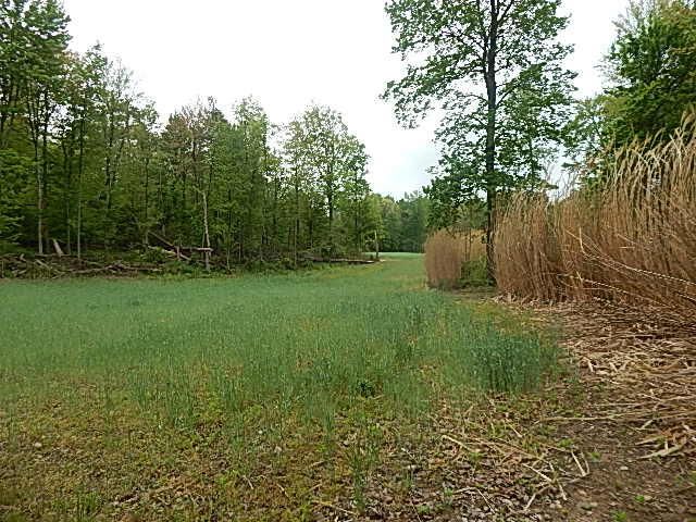 15250 27 Mile Road, Albion, MI 49224