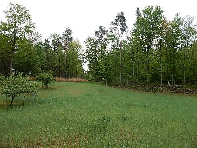 15250 27 Mile Road, Albion, MI 49224