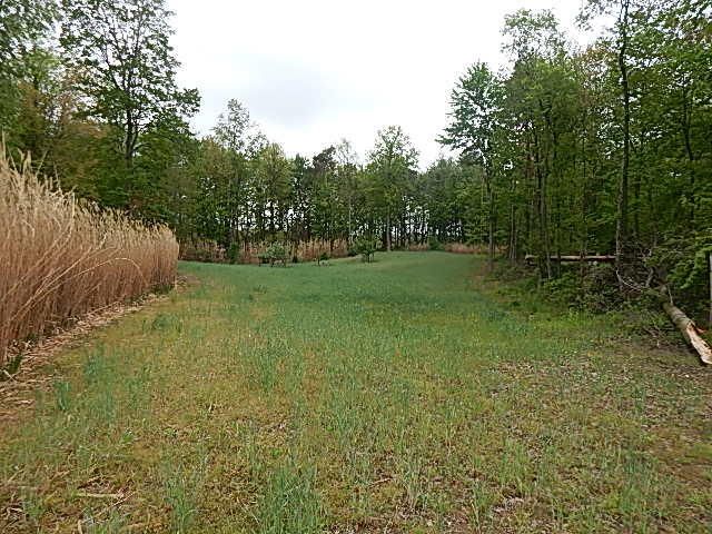 15250 27 Mile Road, Albion, MI 49224