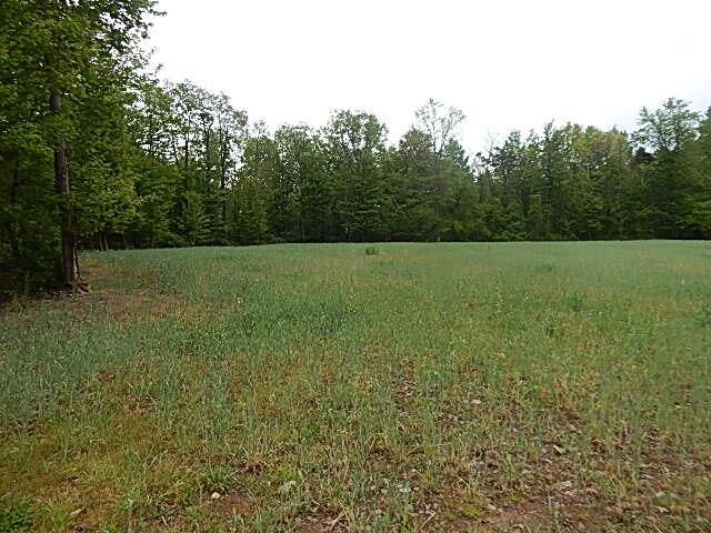 15250 27 Mile Road, Albion, MI 49224