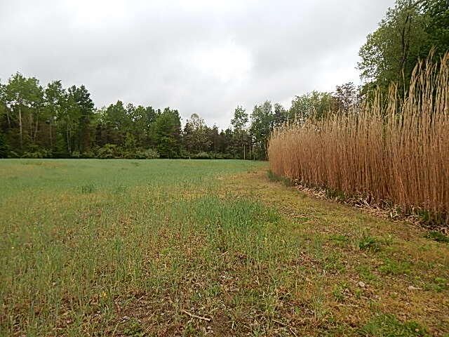 15250 27 Mile Road, Albion, MI 49224