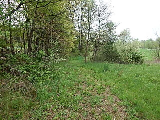 15250 27 Mile Road, Albion, MI 49224