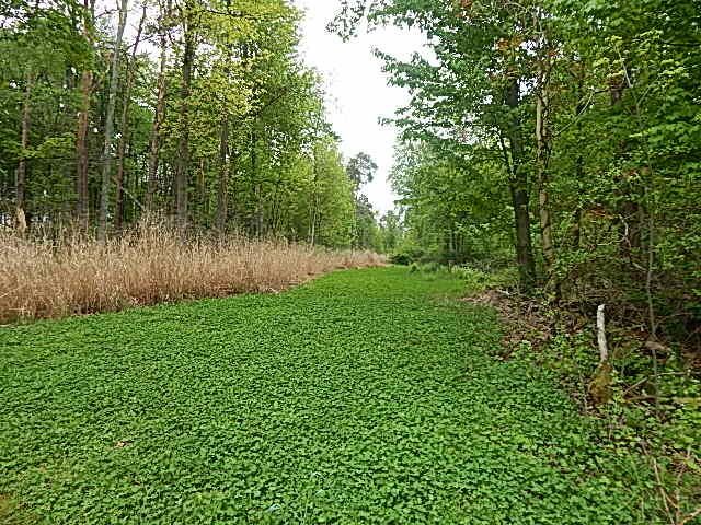 15250 27 Mile Road, Albion, MI 49224