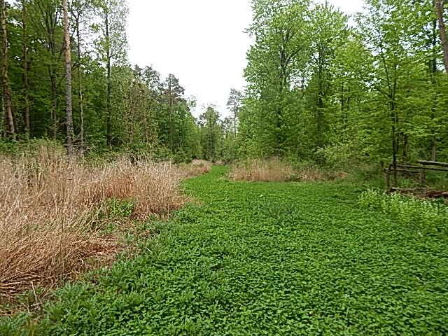 15250 27 Mile Road, Albion, MI 49224