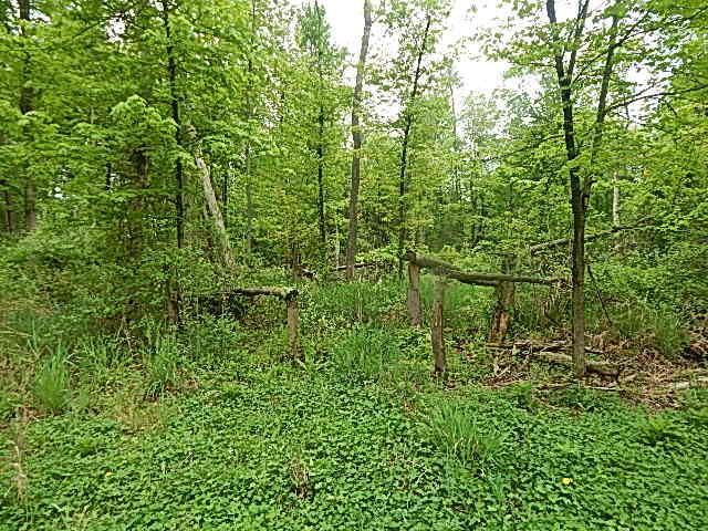 15250 27 Mile Road, Albion, MI 49224