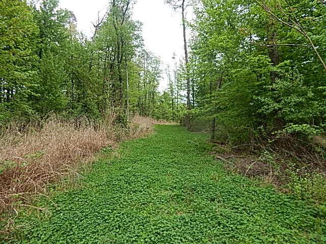 15250 27 Mile Road, Albion, MI 49224