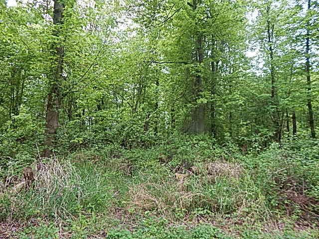 15250 27 Mile Road, Albion, MI 49224