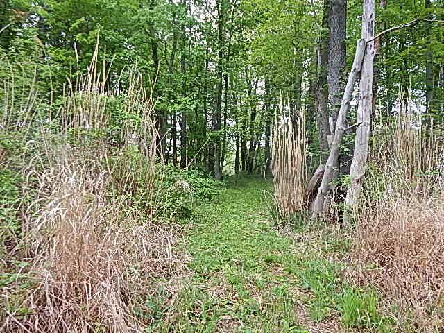 15250 27 Mile Road, Albion, MI 49224