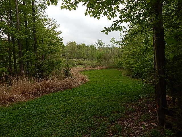 15250 27 Mile Road, Albion, MI 49224