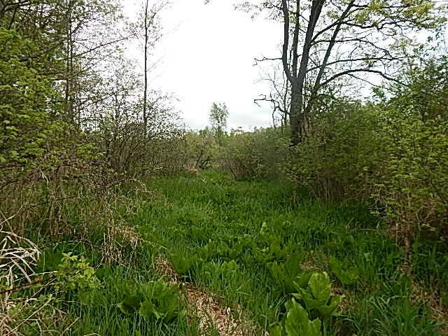 15250 27 Mile Road, Albion, MI 49224