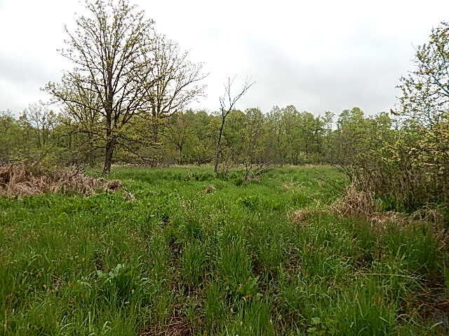 15250 27 Mile Road, Albion, MI 49224