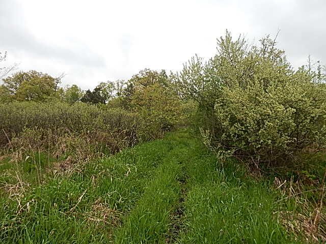 15250 27 Mile Road, Albion, MI 49224