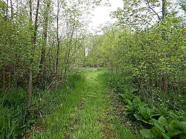 15250 27 Mile Road, Albion, MI 49224