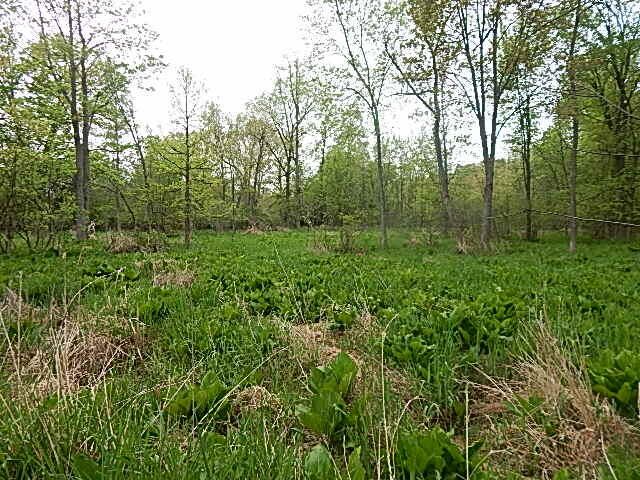 15250 27 Mile Road, Albion, MI 49224